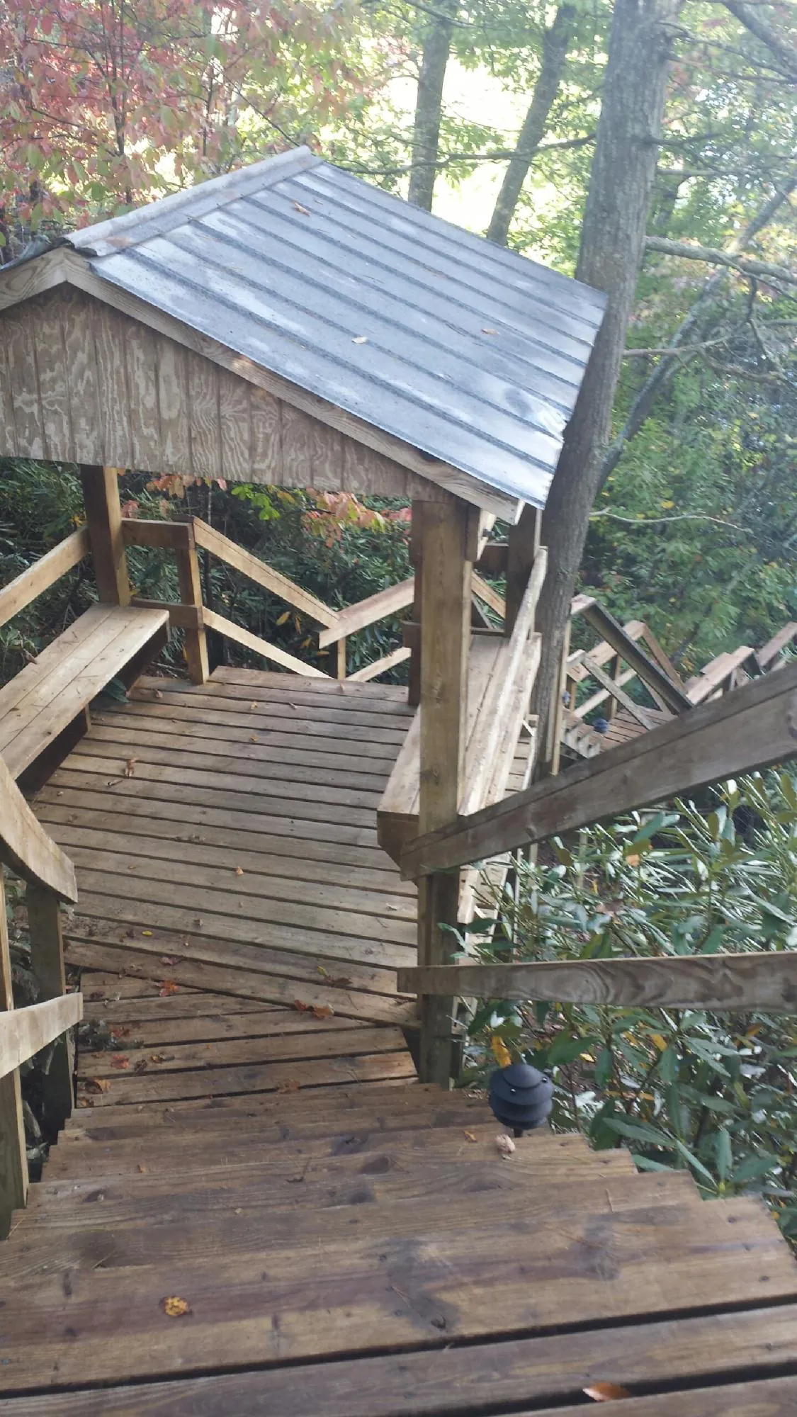 Metal roofed shelter over wooden steps on a wooded walkway — Skylight Repair & Installation work by our crew in Ripon
